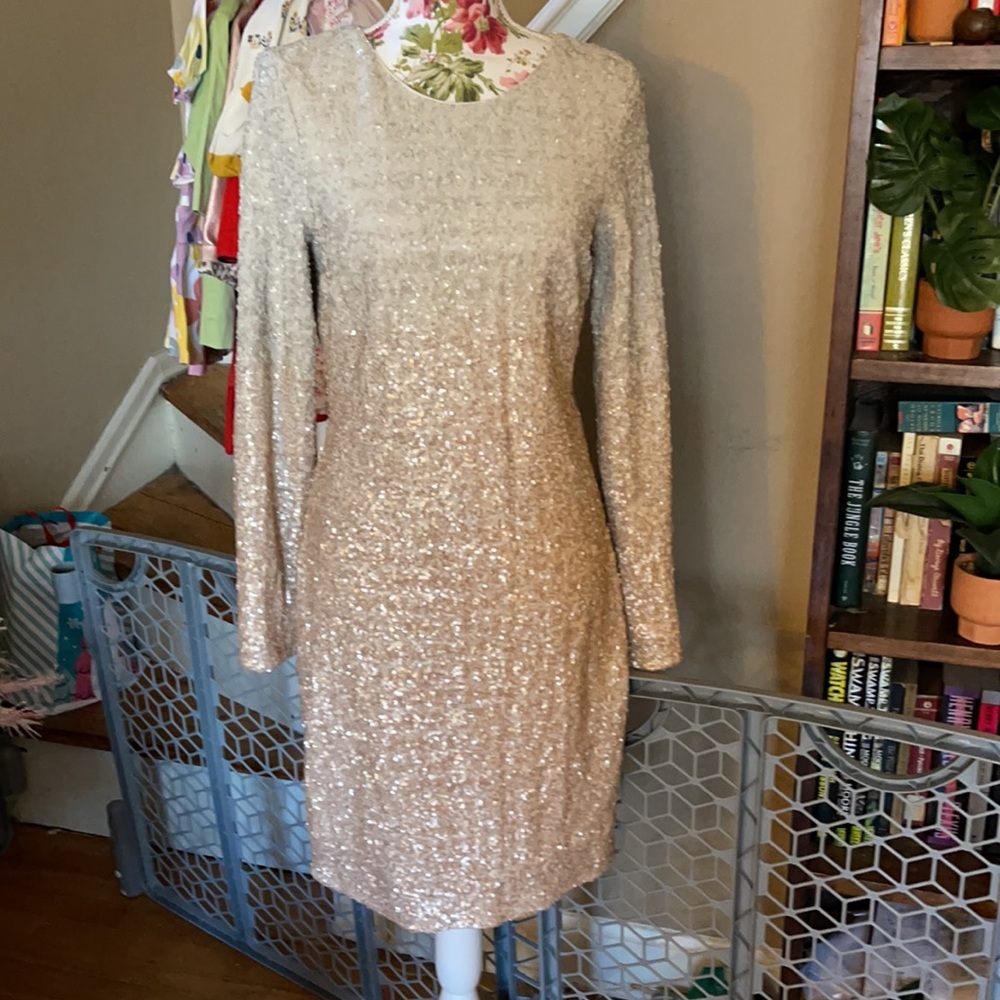 Badgley Mischka Sequin Dress